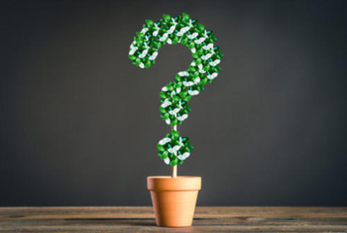 新着 中庭の家を作るのは家相的にout 対処法 メリットを大公開 家相の教科書